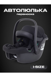 Автокресло Rant Carry 2.0 (40-87 см) Black