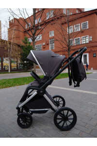 Коляска 2 в 1 Mowbaby Tilda Carbon