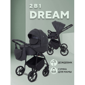 Коляска 2 в 1 Rant Dream 2024 08 графит