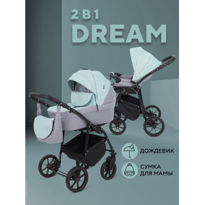 Коляска 2 в 1 Rant Dream 2024 10 серый-ментоловый