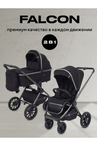 Коляска 2 в 1 Rant Falcon Black