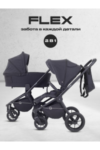 Коляска 2 в 1 Rant Flex 2025 RA076 Black