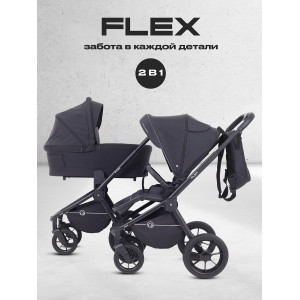 Коляска 2 в 1 Rant Flex 2025 RA076 Black