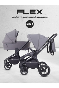 Коляска 2 в 1 Rant Flex 2025 RA076 Graphite