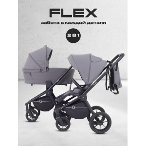 Коляска 2 в 1 Rant Flex 2025 RA076 Graphite