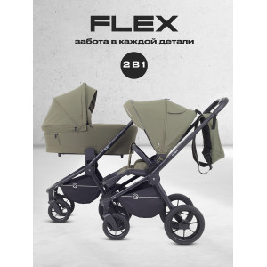 Коляска 2 в 1 Rant Flex 2025 RA076 Green