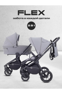 Коляска 2 в 1 Rant Flex 2025 RA076 Grey