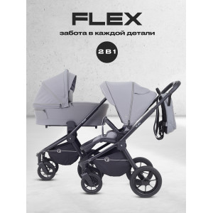 Коляска 2 в 1 Rant Flex 2025 RA076 Grey