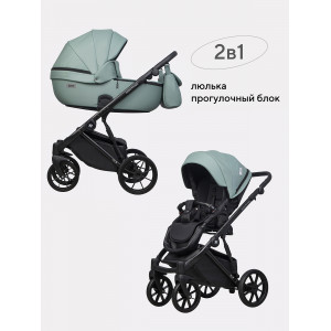 Коляска 2 в 1 Riko Basic Montana Ecco 21 Green