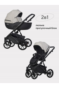 Коляска 2 в 1 Riko Basic Montana Ecco 31 Light Silver-Black