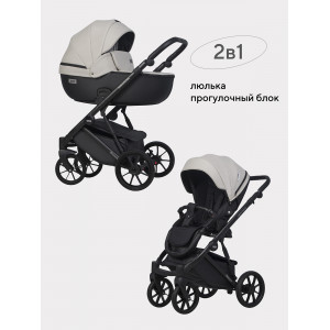 Коляска 2 в 1 Riko Basic Montana Ecco 31 Light Silver-Black