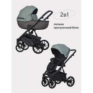 Коляска 2 в 1 Riko Basic Montana Ecco 30 Green-Grey