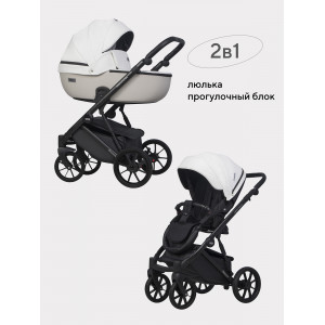 Коляска 2 в 1 Riko Basic Montana Ecco 32 White-Light Silver