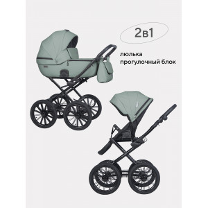 Коляска 2 в 1 Riko Basic Montana Ecco Prestige 21 Green