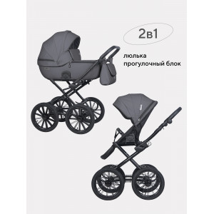 Коляска 2 в 1 Riko Basic Montana Ecco Prestige 24 Graphite