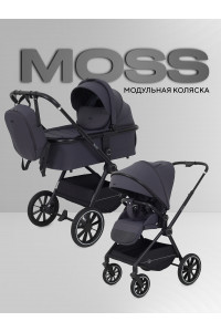 Коляска 2 в 1 Rant Moss 2025 Graphite