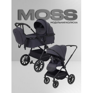 Коляска 2 в 1 Rant Moss 2025 Graphite