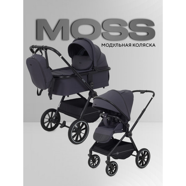 Коляска 2 в 1 Rant Moss 2025 Graphite