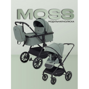 Коляска 2 в 1 Rant Moss 2025 Green