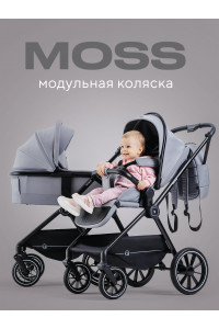 Коляска 2 в 1 Rant Moss Classic grey