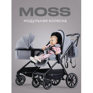 Коляска 2 в 1 Rant Moss Classic grey