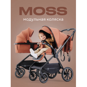 Коляска 2 в 1 Rant Moss Maroon brown