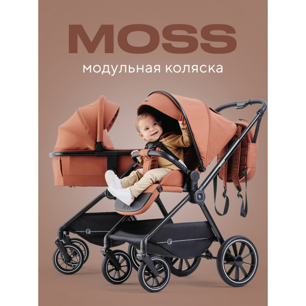 Коляска 2 в 1 Rant Moss Maroon brown