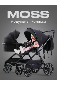 Коляска 2 в 1 Rant Moss Midnight black