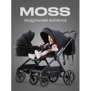 Коляска 2 в 1 Rant Moss Midnight black