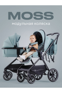 Коляска 2 в 1 Rant Moss Sage green