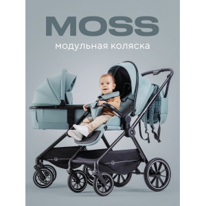 Коляска 2 в 1 Rant Moss Sage green