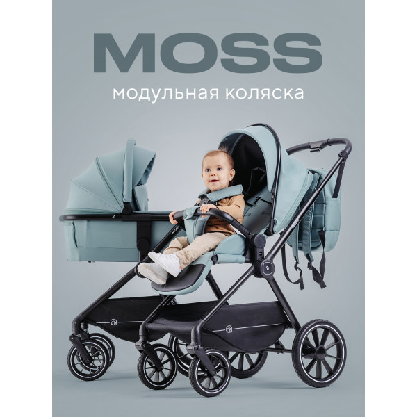 Коляска 2 в 1 Rant Moss Sage green