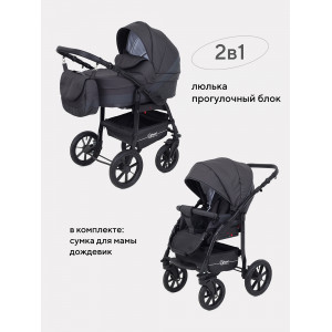 Коляска 2 в 1 Rant Patio Graphite