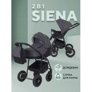 Коляска 2 в 1 Rant Siena 2024 01 графит-серый