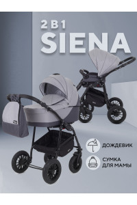 Коляска 2 в 1 Rant Siena 2024 02 темно-серый - светло-серый