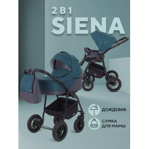 Коляска 2 в 1 Rant Siena 2024 04 серый - темно-бирюзовый