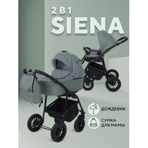 Коляска 2 в 1 Rant Siena 2024 05 зеленый