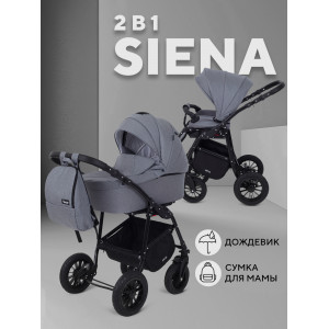 Коляска 2 в 1 Rant Siena 2024 07 серый