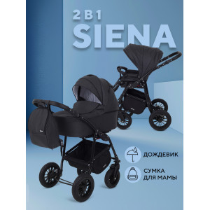 Коляска 2 в 1 Rant Siena 2024 08 графит