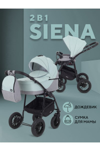 Коляска 2 в 1 Rant Siena 2024 10 серый-ментоловый