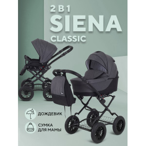 Коляска 2 в 1 Rant Siena Classic 2024 01 графит-серый