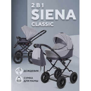 Коляска 2 в 1 Rant Siena Classic 2024 02 темно-серый - светло-серый