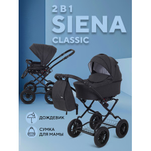 Коляска 2 в 1 Rant Siena Classic 2024 08 графит