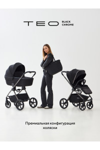 Коляска 2 в 1 Rant Teo Black Chrome Black