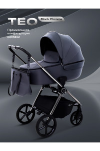 Коляска 2 в 1 Rant Teo Black Chrome Graphite