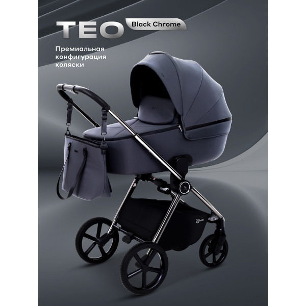 Коляска 2 в 1 Rant Teo Black Chrome Graphite Коляска 2 в 1 Rant Teo Black Chrome Graphite