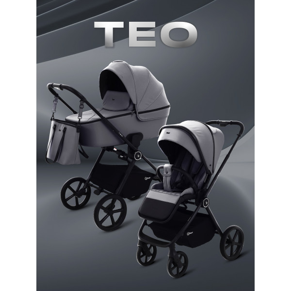 Коляска 2 в 1 Rant Teo Grey