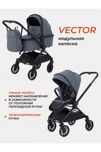 Коляска 2 в 1 Rant Vector Grey