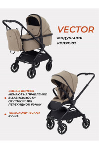 Коляска 2 в 1 Rant Vector Latte