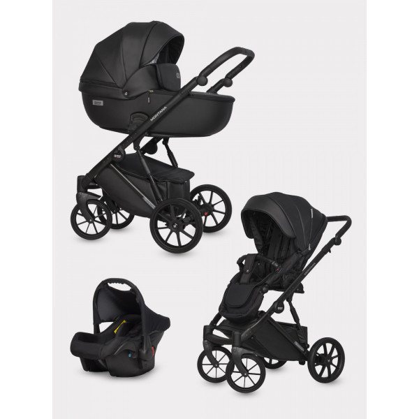 Коляска 3 в 1 Riko Basic Montana Ecco 12 black Коляска 3 в 1 Riko Basic Montana Ecco 12 black купить mirdetstva-gran.ru